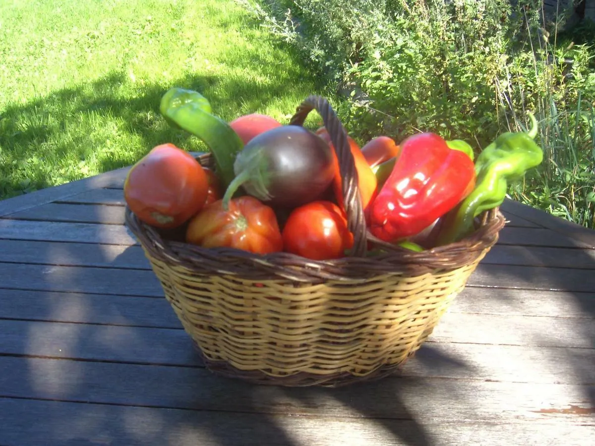 Farm stay Masia La Canal Gombren